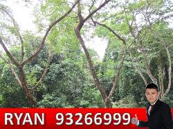 Meralodge (D23), Apartment #38891202
